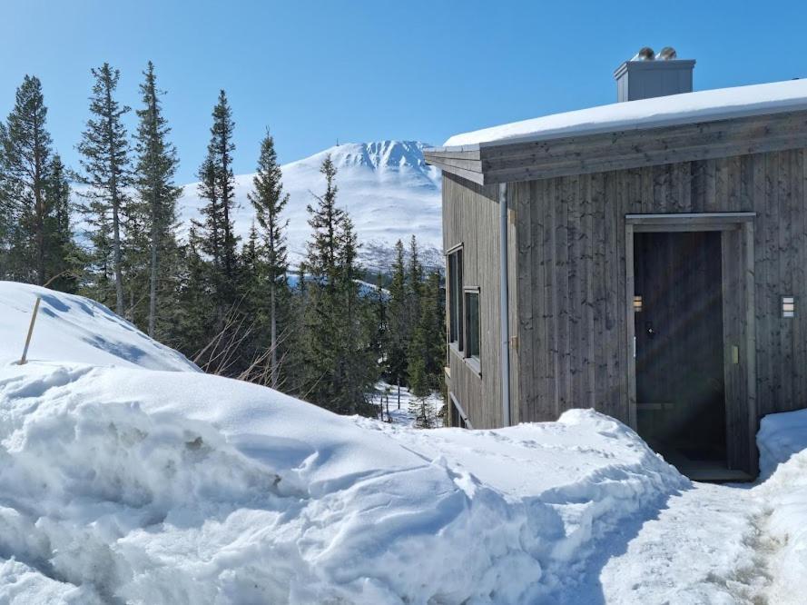 Ny Leilighet Med Flott Utsikt Til Gaustatoppen Rjukan Exterior photo
