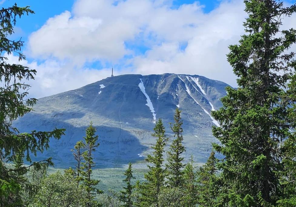 Ny Leilighet Med Flott Utsikt Til Gaustatoppen Rjukan Exterior photo