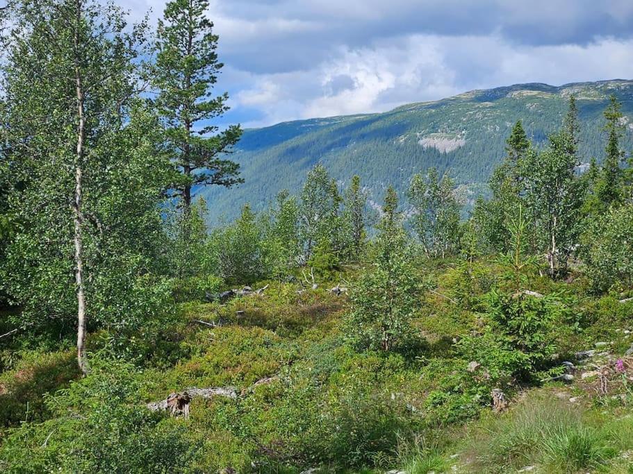 Ny Leilighet Med Flott Utsikt Til Gaustatoppen Rjukan Exterior photo